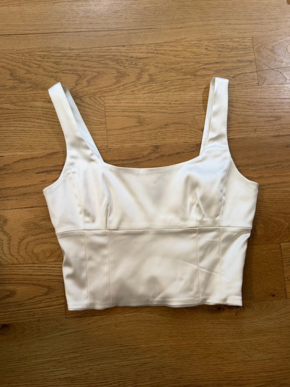 Aritzia Shine Bustier